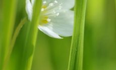 生意人摆放什么招财（店里放什么招财最灵验）