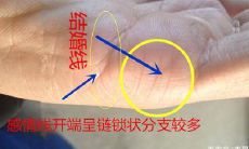 姻缘线有三条竖线图解（手相三条婚姻线）