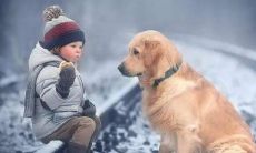 82年出生的属狗人2023年（1970年属狗贵人是谁）