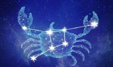 双鱼座对你说话难听（双鱼座凶起来能比过所有星座）