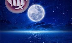 处女座女孩和白羊座男孩（双鱼座男生性格）