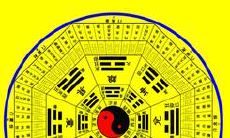 属羊和属猪吵架（属羊和属猪合不合）