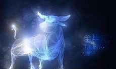 金牛座对初恋固执（金牛座的男生对待感情）