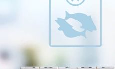 最宠天秤座的星座（能让天秤座认输的星座）