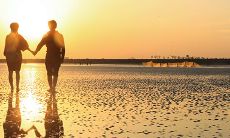 双鱼座女和金牛男配不配（金牛男最痴迷哪个星座女）