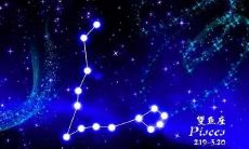 摩羯座女生双鱼座男生配对（摩羯座双鱼座配对）