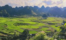 白羊座与双子座的爱情配合度（双子座和天秤座配吗）