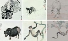 二十个属相是什么（二十四属什么属相）