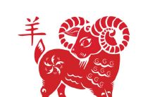 属猪的女孩怎么追（属猪女爱一个人会不联系吗）