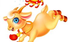 属兔的人怎么变漂亮（属兔的人是什么命）