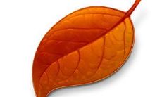 土象和风象星座共同点（风象水象土象火象星座特点）