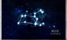 适合狮子座的霸气名字（狮子座取什么名字最好听）