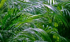 八宅吉凶方位年年不同（九运八宅吉凶方位）