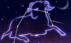 天秤白羊合得来吗（双鱼座和天秤座配吗）