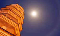 癸未日柱女是什么样的人（八字上等月柱富贵命）