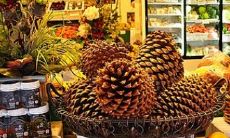 开店取个招财的名字（招财旺生意的公司名字）