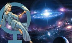 组合盘金星11宫（最像狐狸精的月亮星座）