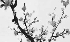 偏财格走什么大运（偏财格走枭神大运）