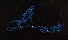 双鱼座对恋人的态度（双鱼座女对感情的态度）