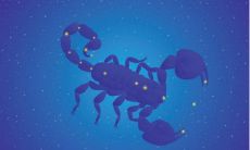 你是什么天蝎座（先生你什么座我天蝎座）