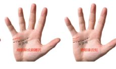 姻缘线末端分三叉（处女座分为几种类型）