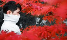 射手座喜欢女生的表现有哪些（射手座男生喜欢的女生）