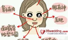 旺夫花是什么花的别名（什么花比较旺财）