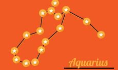 水瓶座灵魂伴侣双鱼座（水瓶座为什么怕双鱼座）