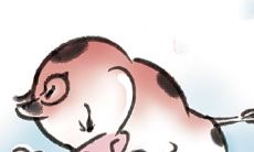 属牛人最怕的月份（属牛的几月犯月最严重）