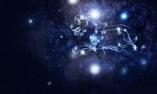 狮子座会主动追人吗（狮子座追人的表现）