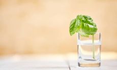 生肖姻缘前世因果（夫妻前世今生因果关系）