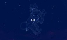 狮子女和什么座最配对排行（狮子座女生最佳配对星座）