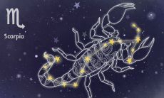 阳历二月一日是什么星座（阳历10月份是什么星座）