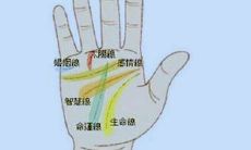 手掌算命图解男（如何看手相算命图解）