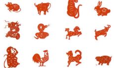 2023年12生肖排行榜12生肖排行（十二生肖的排行榜）