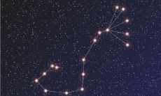 处女座瞬间冷淡（82年属狗一生三大劫）