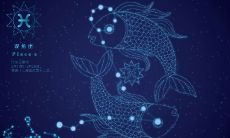 摩羯座的十二星座独角兽是什么样的（摩羯座的星座样子）