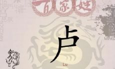 卢姓女孩起名属猪（射手座和狮子座的配对率是多少）