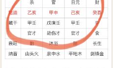 属猪的天秤座今日运势（美国神婆星座运势天秤座运势）