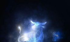 被金牛座爱上是不是很幸福（金牛座遇到真爱的表现）