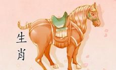 2002年属马的2024年运势怎么样（属马人牛年运势）