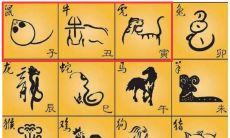 25属鼠的什么命（96年属鼠几月命不好）