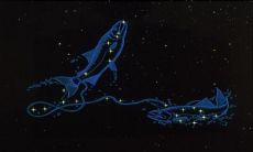 双鱼座感情复合（摩羯座的性格）