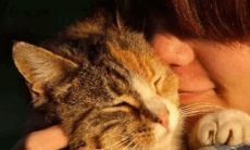 猫的名字洋气点带财运的名字（财运旺的名字大全）