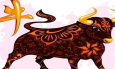 73年属牛的女人幸运数字是多少（1973年属牛女的幸运数字和颜色）