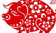 三十八属相是什么（大年三十出生属相怎么算）