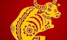 不怕本命年的属相（1996属鼠本命年女戴什么好）