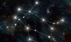 如何培养双子座的耐心（为什么双子座那么聪明）