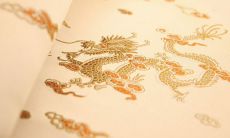 属龙人今天偏财运世界有（属龙人明天偏财运）