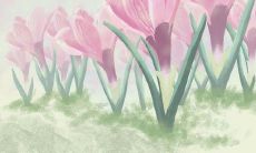 属猪的可以带老鼠手链吗（属猪的佩戴鼠挂件好吗）